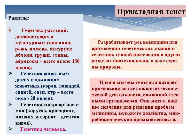 Разделы: Ø Генетика растений: дикорастущих и культурных: (пшеница, рожь, ячмень, кукуруза; яблони, груши, сливы,