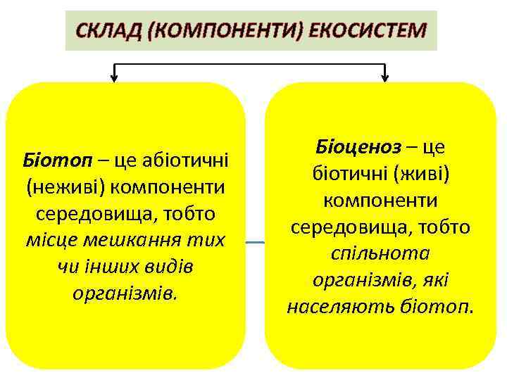 СКЛАД (КОМПОНЕНТИ) ЕКОСИСТЕМ Біотоп – це абіотичні (неживі) компоненти середовища, тобто місце мешкання тих