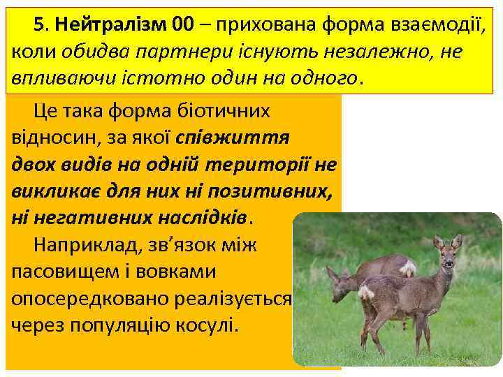 5. Нейтралізм 00 – прихована форма взаємодії, коли обидва партнери існують незалежно, не впливаючи