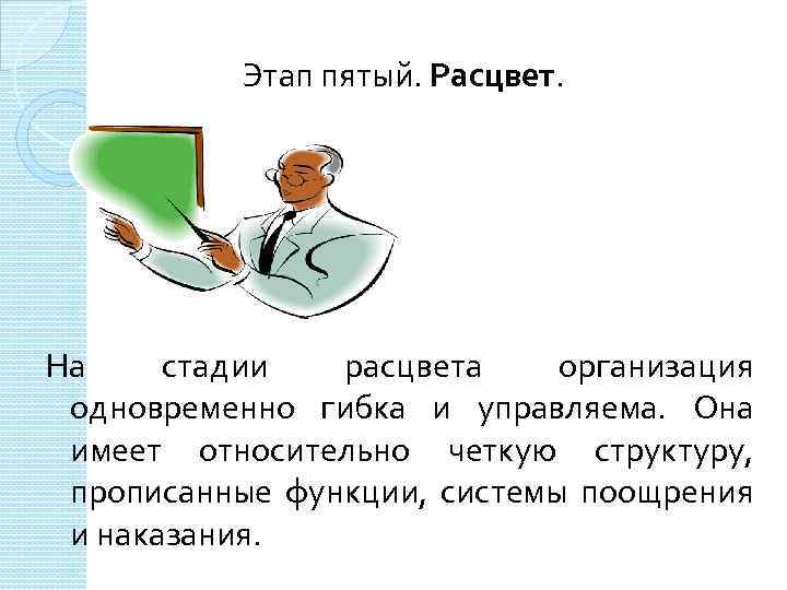 Этап пятый. Расцвет. На стадии расцвета организация одновременно гибка и управляема. Она имеет относительно