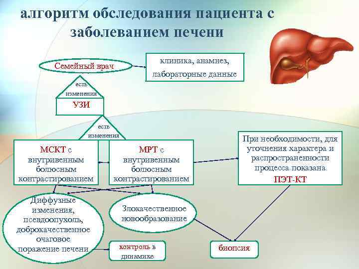 алгоритм обследования пациента с заболеванием печени клиника, анамнез, лабораторные данные Семейный врач есть изменения