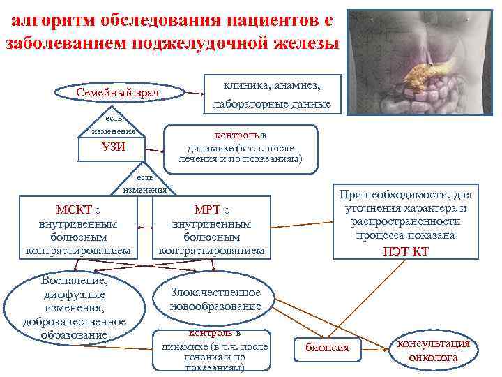 алгоритм обследования пациентов с заболеванием поджелудочной железы клиника, анамнез, лабораторные данные Семейный врач есть