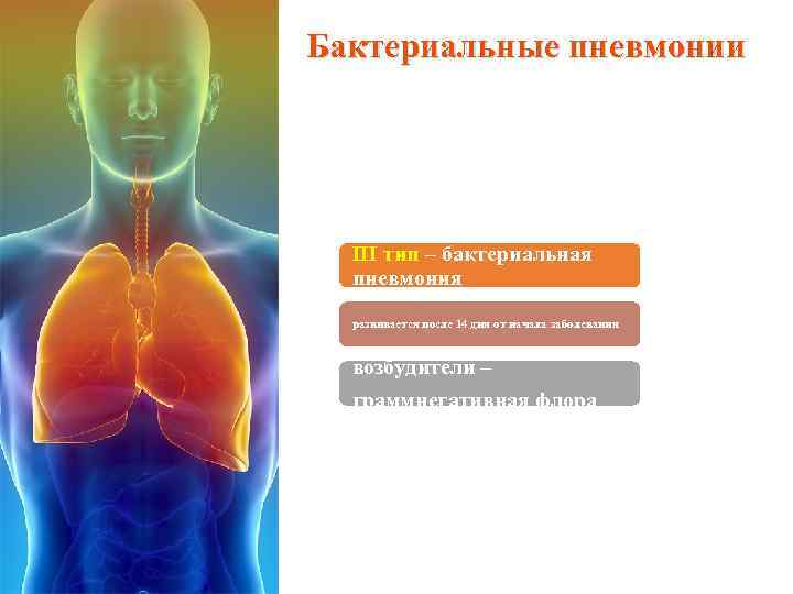 Бактериальные пневмонии III тип – бактериальная пневмония развивается после 14 дня от начала заболевания