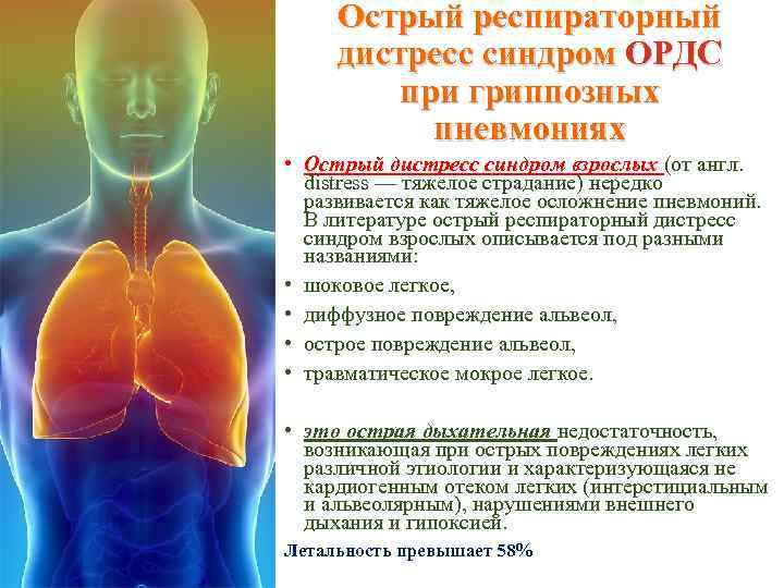 Острый респираторный дистресс синдром ОРДС при гриппозных пневмониях • Острый дистресс синдром взрослых (от