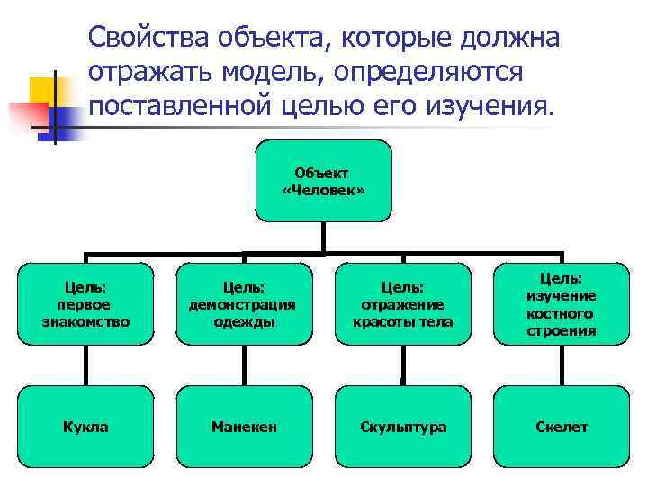 Свойства объекта, которые должна отражать модель, определяются поставленной целью его изучения. Объект «Человек» Цель: