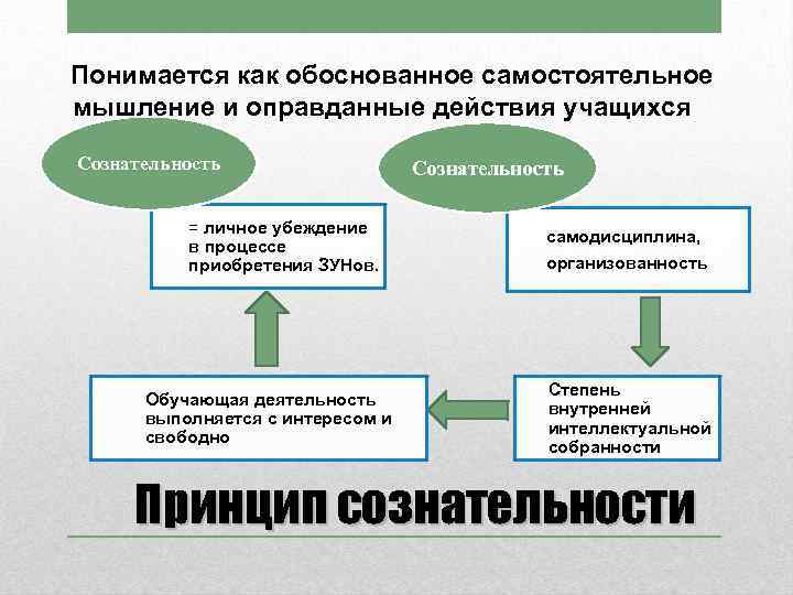 Понимается как обоснованное самостоятельное мышление и оправданные действия учащихся Сознательность = личное убеждение в