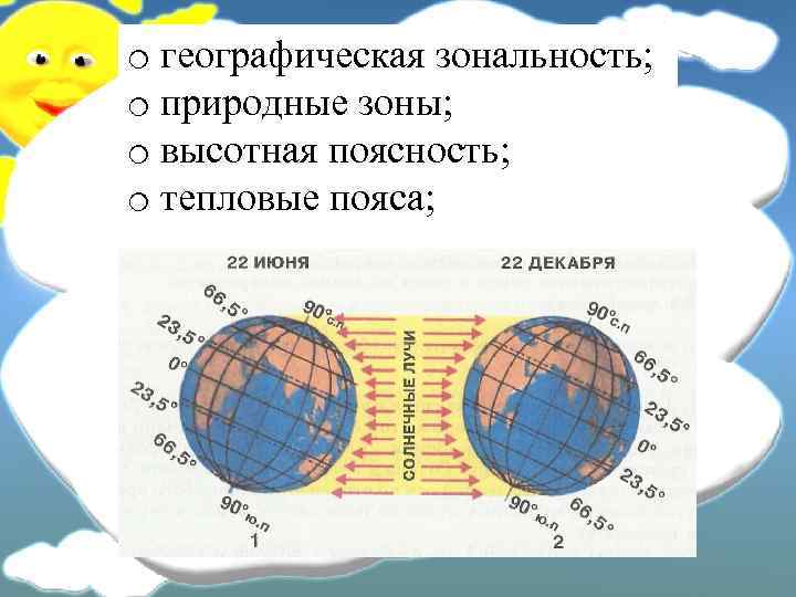 o географическая зональность; o природные зоны; o высотная поясность; o тепловые пояса; 