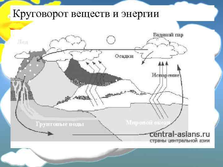 Какими буквами на схеме круговорота воды отмечены ответы