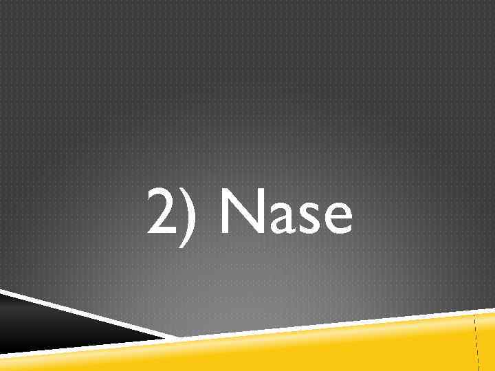 2) Nase 
