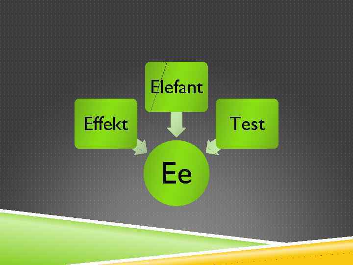 Elefant Effekt Test Ee 
