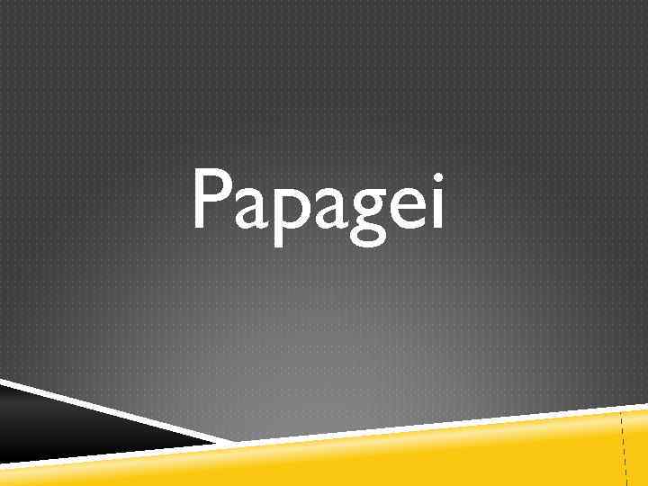 Papagei 