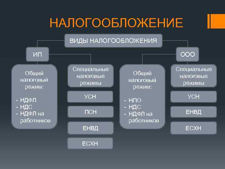 НАЛОГООБЛОЖЕНИЕ ВИДЫ НАЛОГООБЛОЖЕНИЯ ИП Общий налоговый режим: - НДФЛ - НДС - НДФЛ на