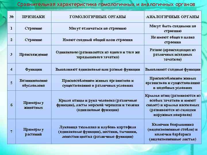 Органы имеющие единое происхождение общий план строения но выполняющие разные функции называются