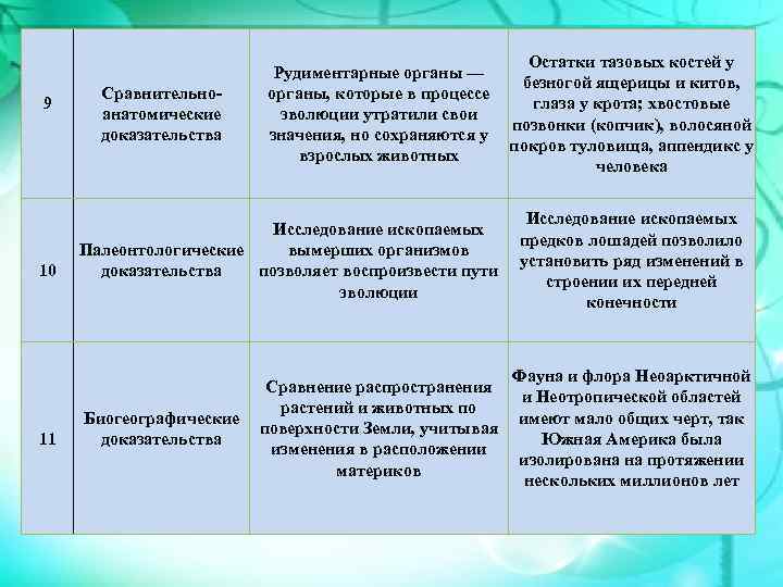 Презентация роль изменчивости в эволюционном процессе 11 класс