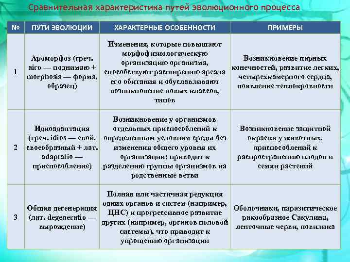 Сравнительная характеристика путей эволюционного процесса № ПУТИ ЭВОЛЮЦИИ ХАРАКТЕРНЫЕ ОСОБЕННОСТИ ПРИМЕРЫ 1 Изменения, которые