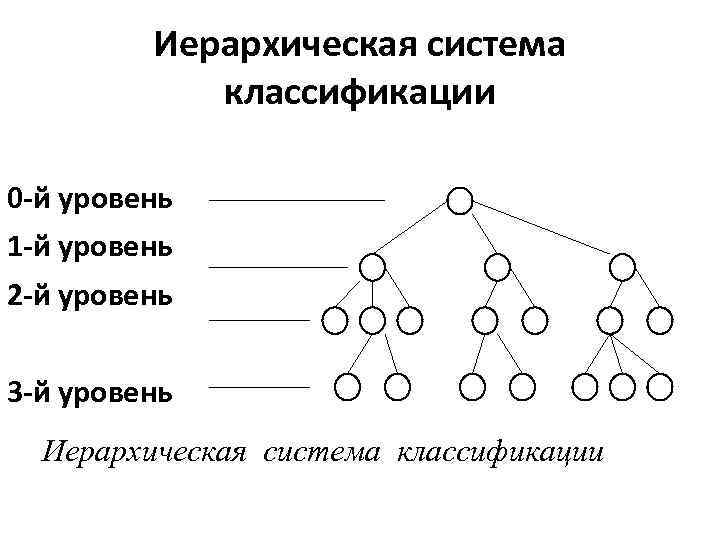 Иерархически виды. Схема иерархического метода классификации. Иерархический метод классификации характеризуется. Схема построения иерархической системы классификации. Иерархический метод классификации информации.