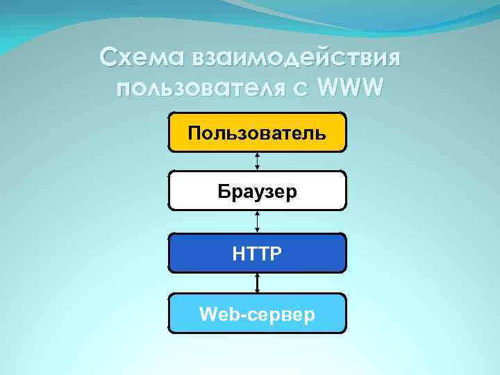 Схема взаимодействия пользователя с WWW Пользователь Браузер HTTP Web-сервер 