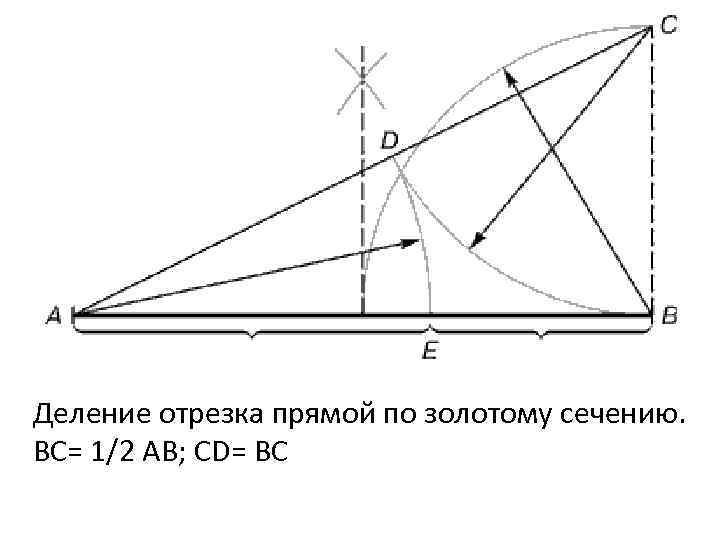 Деление отрезка прямой по золотому сечению. BC= 1/2 AB; CD= BC 