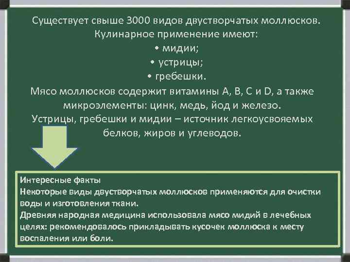 Существует свыше 3000 видов двустворчатых моллюсков. Кулинарное применение имеют: • мидии; • устрицы; •