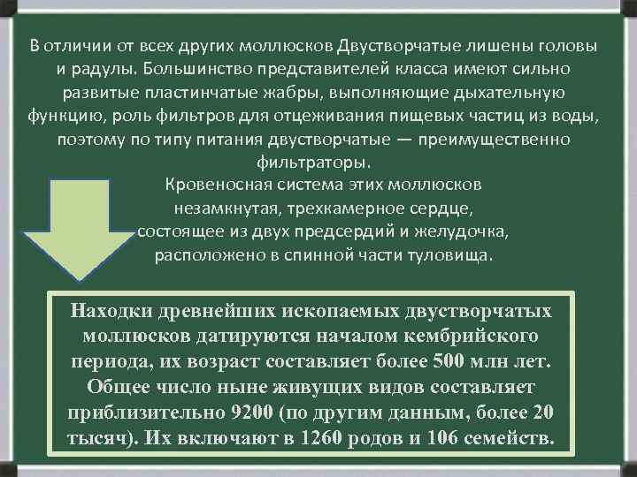 В отличии от всех других моллюсков Двустворчатые лишены головы и радулы. Большинство представителей класса