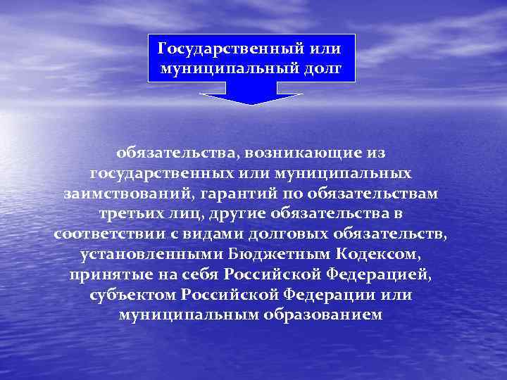 Государственный или муниципальный долг обязательства, возникающие из государственных или муниципальных заимствований, гарантий по обязательствам