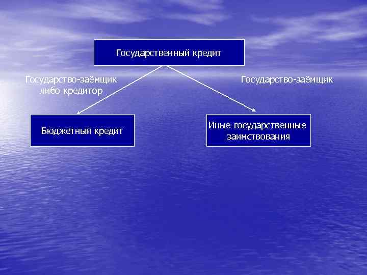 Государственный кредит Государство-заёмщик либо кредитор Бюджетный кредит Государство-заёмщик Иные государственные заимствования 