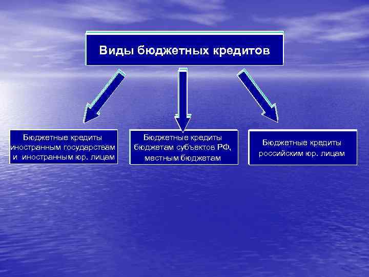 Виды бюджетных кредитов Бюджетные кредиты иностранным государствам и иностранным юр. лицам Бюджетные кредиты бюджетам