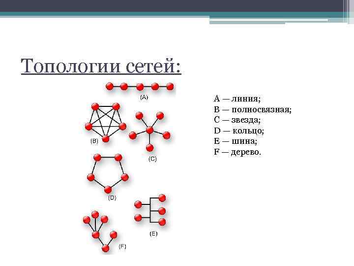 Топологии сетей: A — линия; B — полносвязная; C — звезда; D — кольцо;