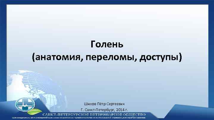 Голень (анатомия, переломы, доступы) Шилов Пётр Сергеевич Г. Санкт-Петербург, 2014 г. 