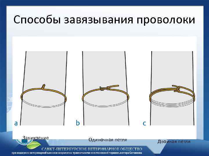 Двойная петля содержание