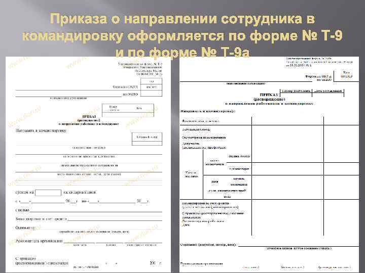 Направление командировка моэк образец