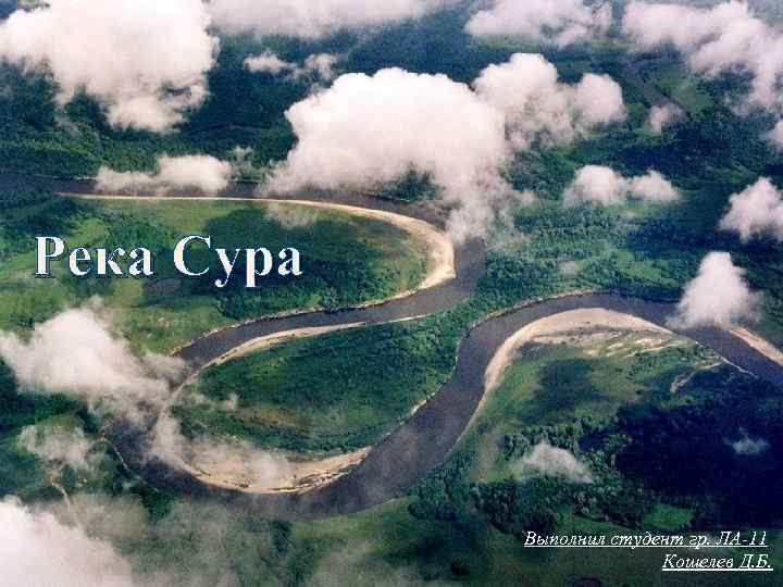 Река Сура Выполнил студент гр. ЛА-11 Кошелев Д. Б. 