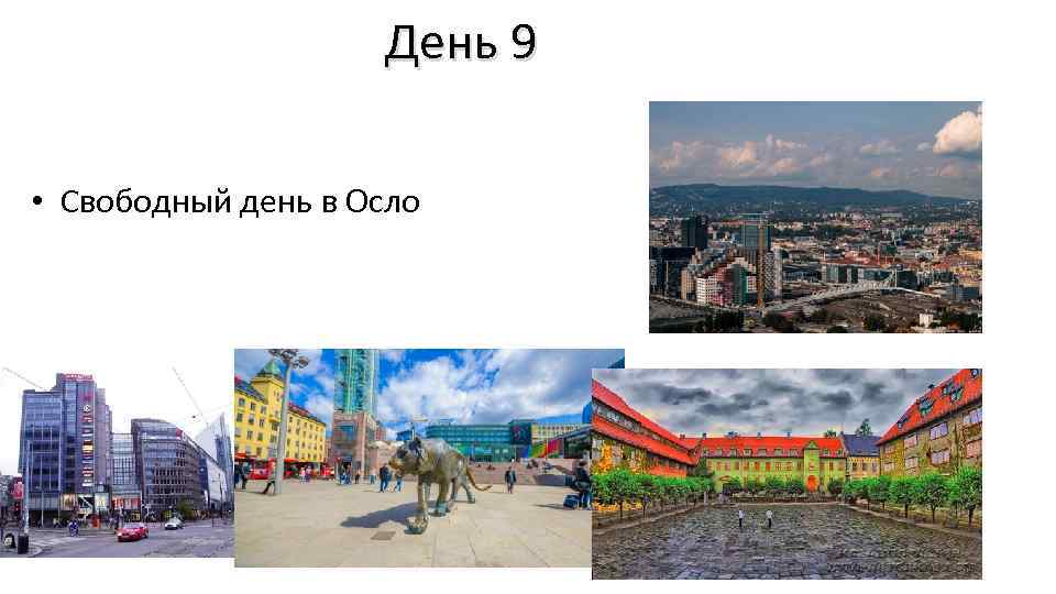 День 9 • Свободный день в Осло 