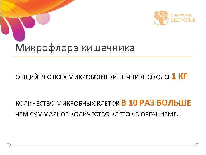 Микрофлора кишечника ОБЩИЙ ВЕС ВСЕХ МИКРОБОВ В КИШЕЧНИКЕ ОКОЛО 1 КГ КОЛИЧЕСТВО МИКРОБНЫХ КЛЕТОК