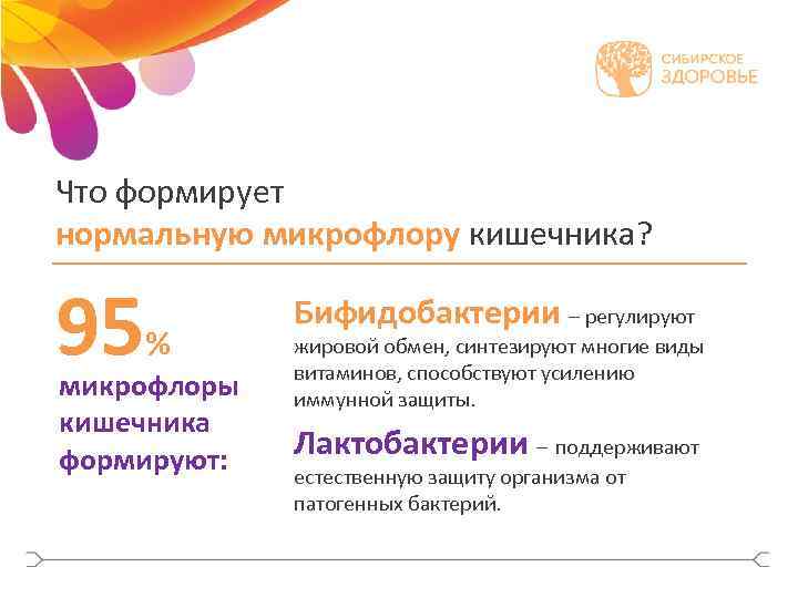 Что формирует нормальную микрофлору кишечника? 95 % микрофлоры кишечника формируют: Бифидобактерии – регулируют жировой