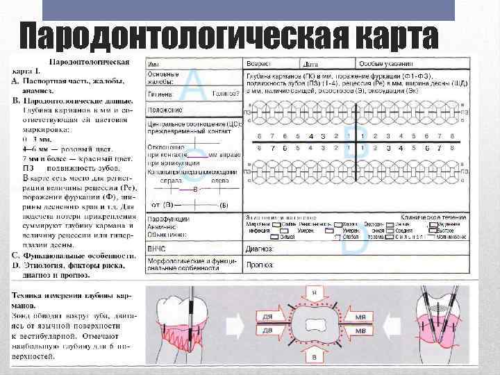 Карта исследования пародонта