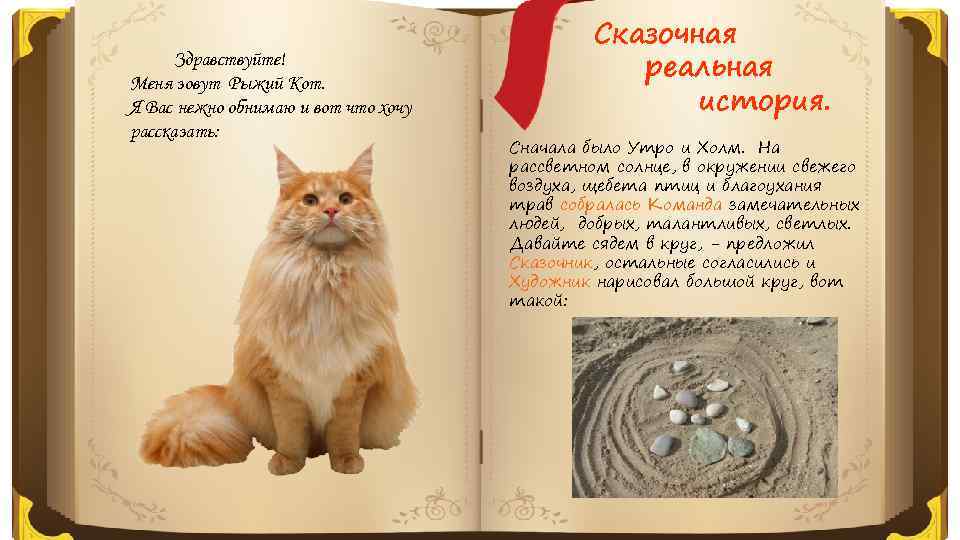 Здравствуйте! Меня зовут Рыжий Кот. Я Вас нежно обнимаю и вот что хочу рассказать: