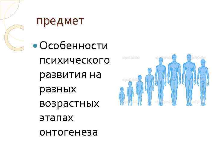 предмет Особенности психического развития на разных возрастных этапах онтогенеза 