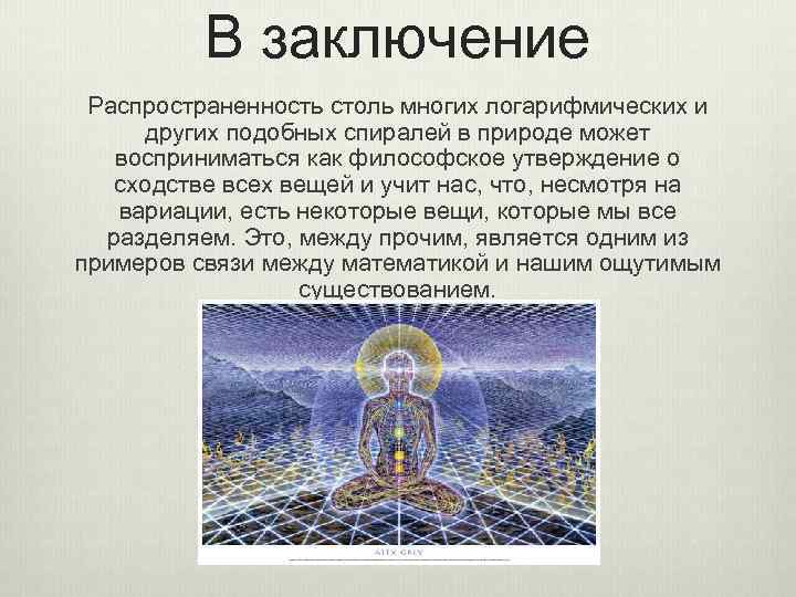 В заключение Распространенность столь многих логарифмических и других подобных спиралей в природе может восприниматься