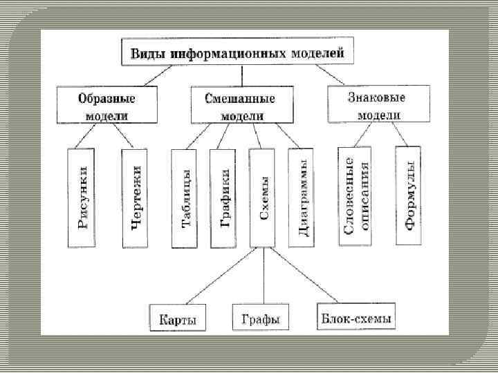 Схема виды информационных моделей