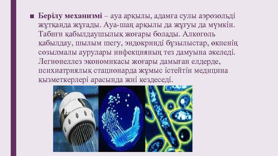 ■ Берілу механизмі – ауа арқылы, адамға сулы аэрозольді жұтқанда жұғады. Ауа-шаң арқылы да