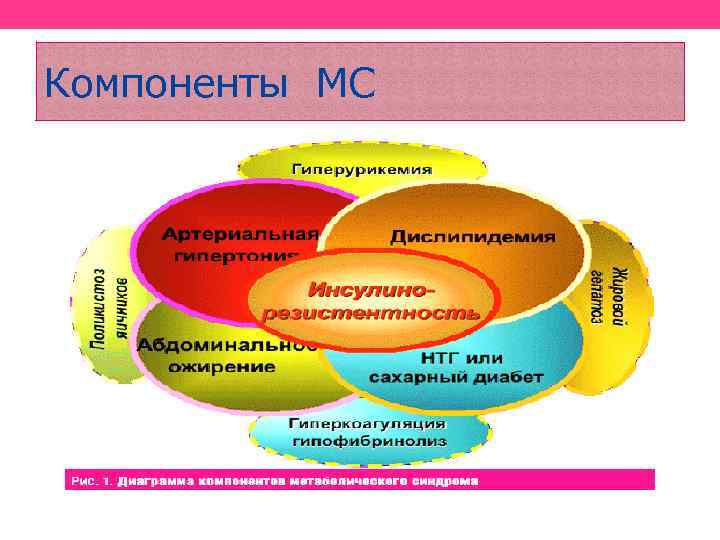 Компоненты МС 