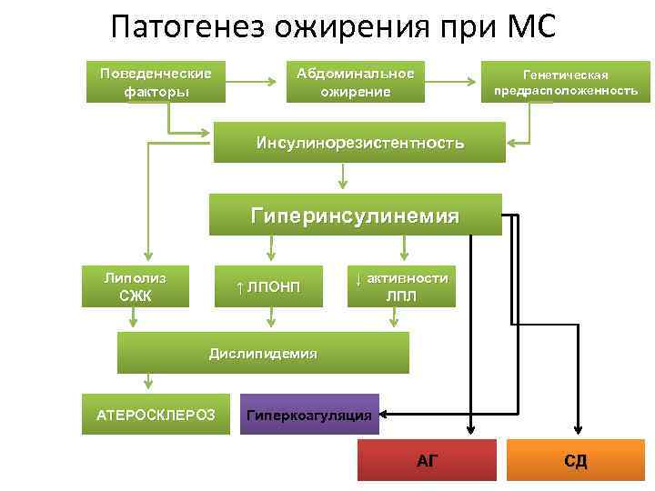 Метаболический синдром патофизиология презентация