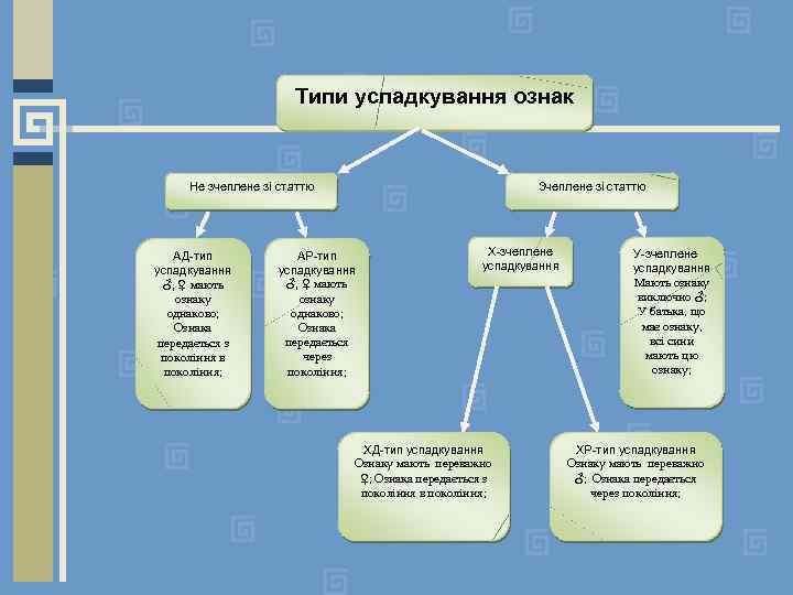 Типи успадкування ознак Не зчеплене зі статтю АД-тип успадкування ♂, ♀ мають ознаку однаково;