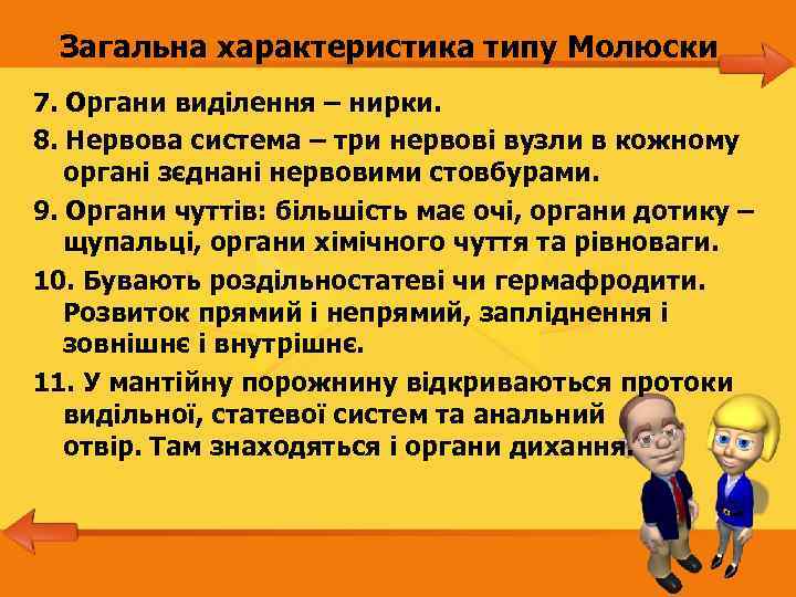 Загальна характеристика типу Молюски 7. Органи виділення – нирки. 8. Нервова система – три