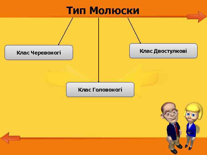 Тип Молюски Клас Двостулкові Клас Черевоногі Клас Головоногі 