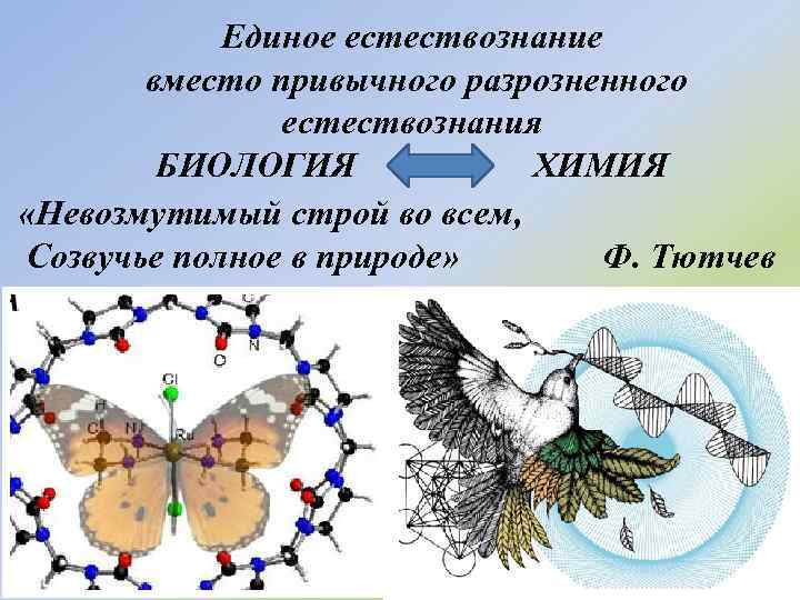 Единое естествознание вместо привычного разрозненного естествознания БИОЛОГИЯ ХИМИЯ «Невозмутимый строй во всем, Созвучье полное