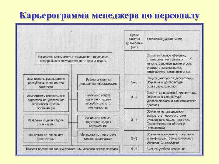 Карьерограмма менеджера по персоналу 