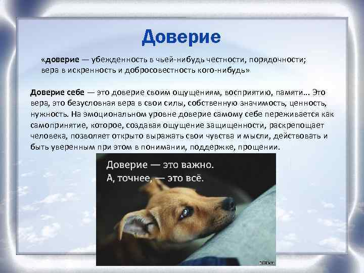 Презентация доверие и доверчивость