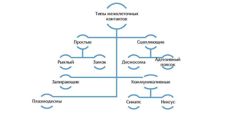 Типы контактов